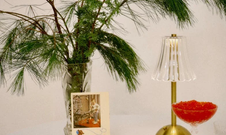 Quando o Meu Filho Quis Ir para a Casa de Campo: Entre o Amor e o Medo de Perder