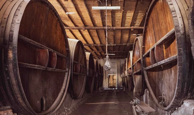 Quando o Meu Lar se Tornou Estranho: O Dia em que Descobri a Verdade