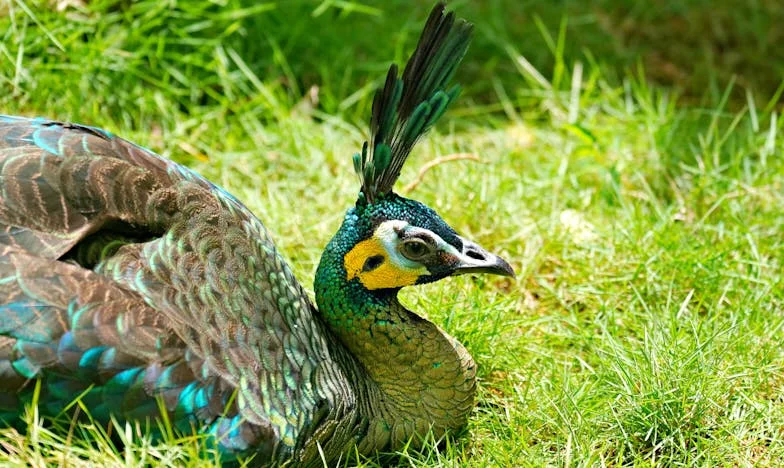 Quando o Passado se Recusa a Partir: Como a Nova Namorada do Meu Ex-Marido Mudou a Minha Vida