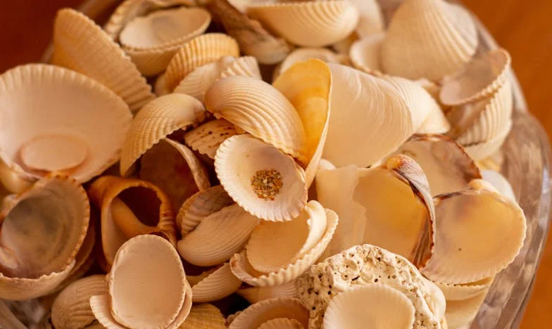 Será possível perdoar uma dívida de família? A história que quase destruiu o nosso casamento