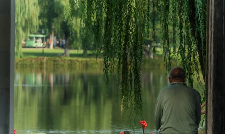 Sinais Perdidos – O Arrependimento de uma Sogra