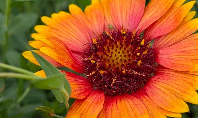 Sob o Mesmo Teto: A Batalha com a Sogra