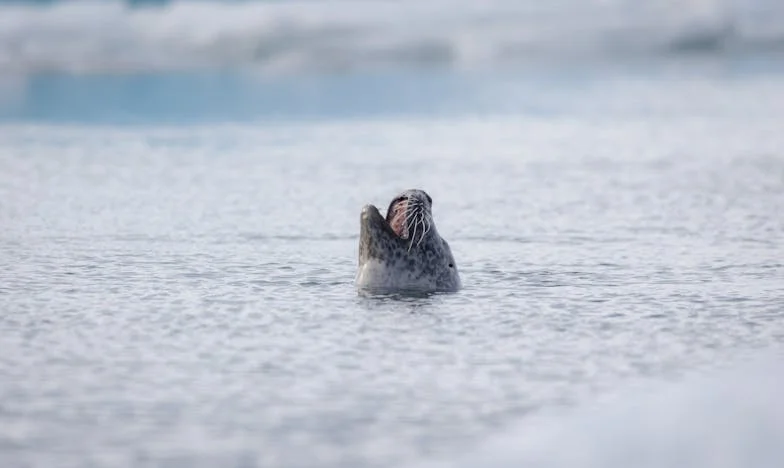 Tarde Demais Percebi: O Meu Marido, as Suas Noites e Fins de Semana Sem Mim