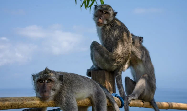 Trinta anos de silêncio, um grito – a traição que rasgou a minha família