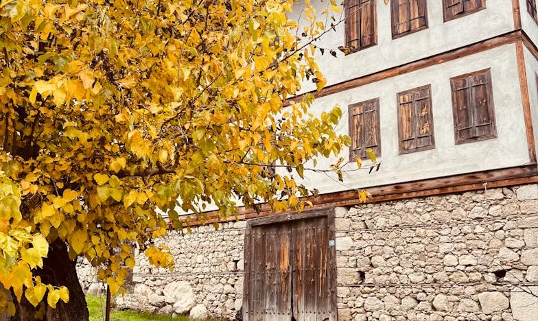 Trinta Anos e Um Adeus: Quando a Família se Desfaz