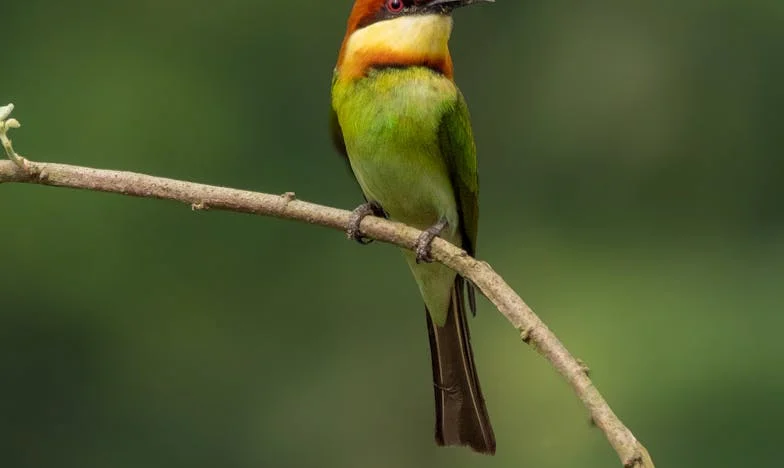 "Tu não fazes nada o dia todo!" – A minha luta por compreensão e respeito durante a licença de maternidade