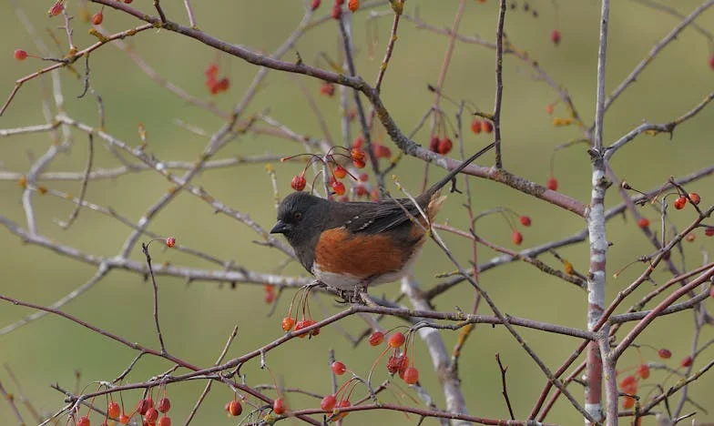 Uma Mentira, Mil Feridas: A História de uma Mãe Portuguesa Traída pela Própria Filha