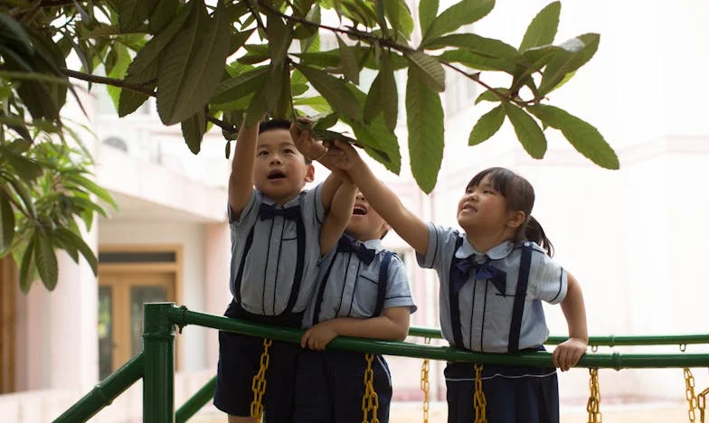 A Amarga Lição no Quintal: Como a Doença da Minha Sogra Virou a Minha Vida do Avesso