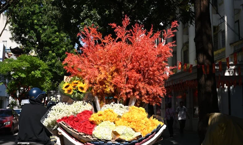 A Casa na Encruzilhada: Luta pelo Meu Lar e Pela Minha Dignidade