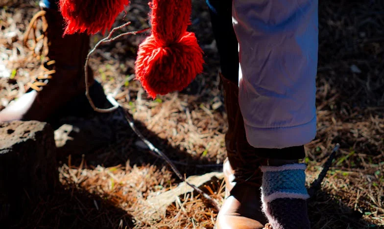 A Casa Que Deveria Ser Nosso Lar: Traição Entre Irmãos