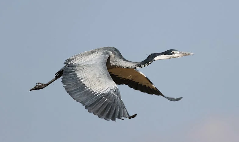 A Nossa Casa, Mas Não a Nossa Vida: Entre Paredes e Segredos
