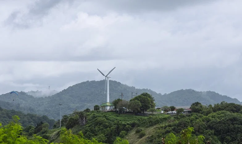 Bater à Porta: Lágrimas de uma Sogra e a Traição que Nunca Passa