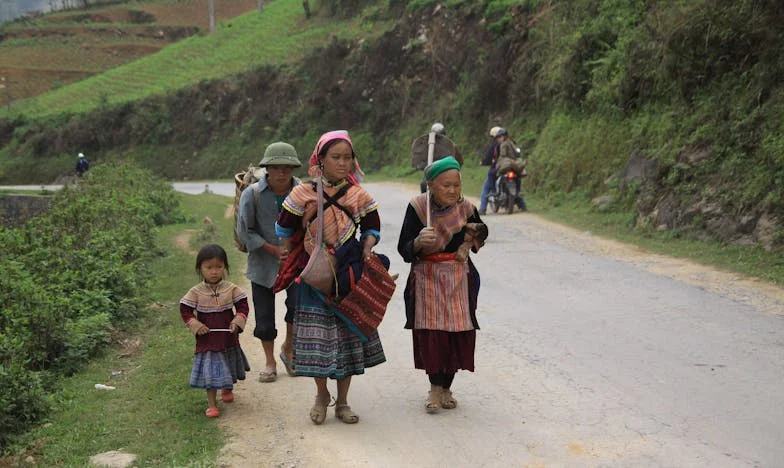 Cada Sábado em Casa dos Sogros: Lágrimas, Segredos e o Preço da Verdade