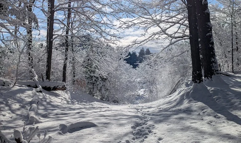 Carta à Amante do Meu Marido — Cinco Anos Depois: És Apenas Uma Sombra Distante