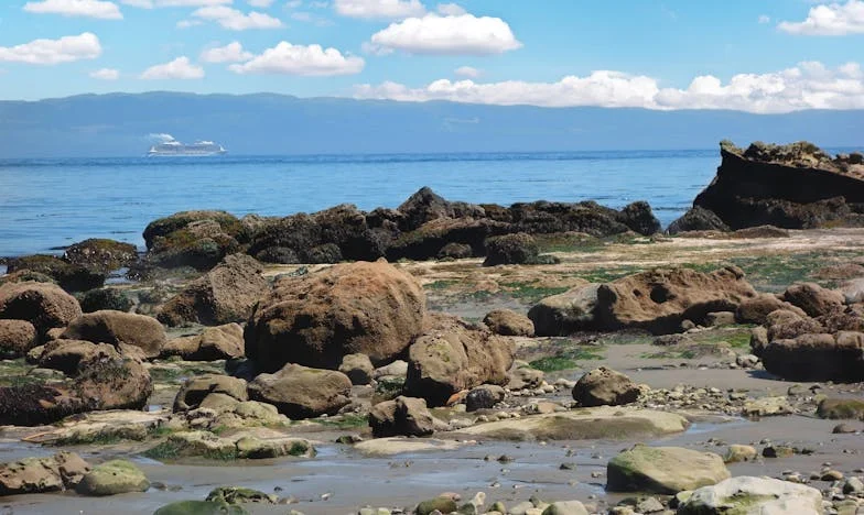 Devo entregar a casa ao meu irmão? Uma história de família que partiu o meu coração