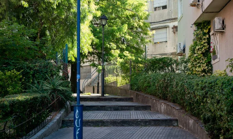 "Devolvam-me as poupanças e passo a casa para a neta" – uma história que rasgou a minha família