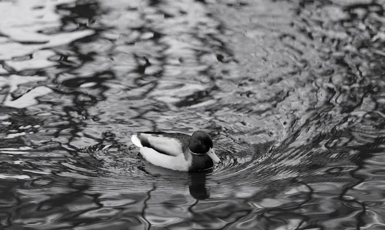 Ele traiu-me e disse que a culpa era minha – porque eu cuidava demasiado dos nossos filhos