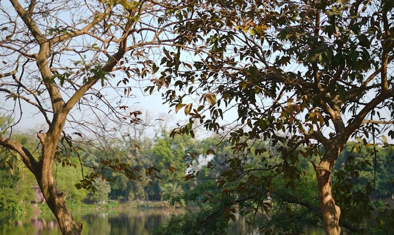 Entre a Confiança e a Traição: Será Que O Meu Filho Tem Razão, Ou Eu Estou Cega de Amor?