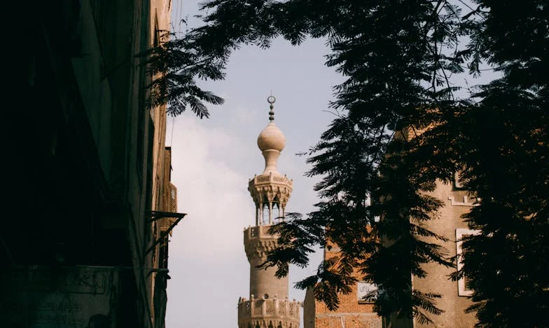 Entre o Amor e a Preocupação: O Peso de Ser Mãe e Sogra em Portugal