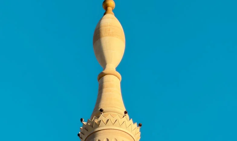 Entre o Amor e o Orgulho: O Desafio de Aceitar a Nora