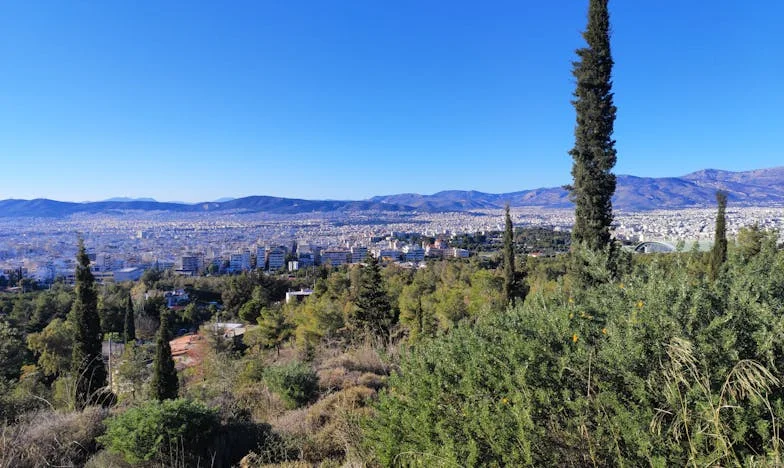 Entre o Pão Seco e o Sonho: O Preço de Crescer com uma Mãe Poupadora