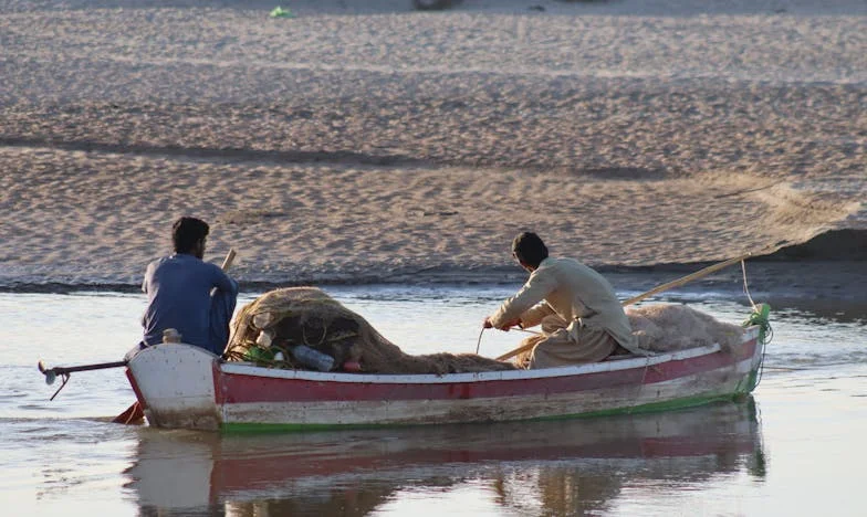 Entre o Silêncio e o Grito: A Minha Vida Entre Quatro Paredes