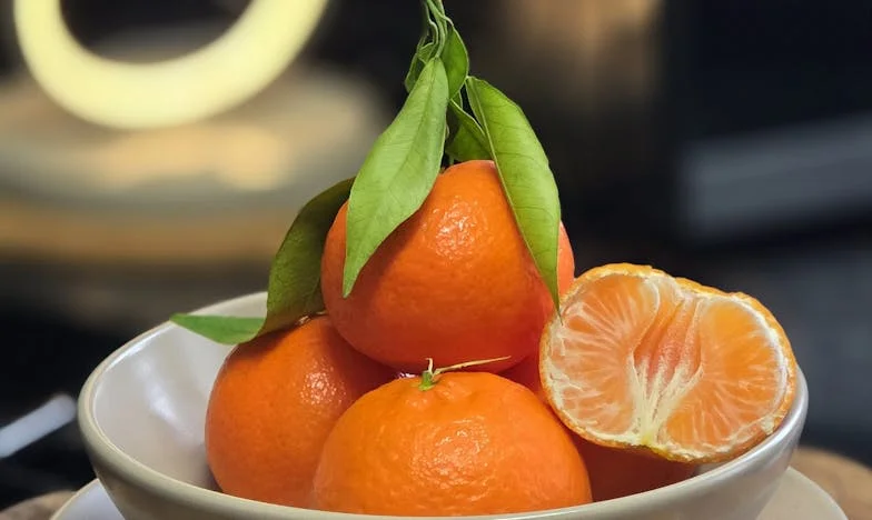 Entre Silêncios e Promessas: A Vida de Um Pai Português e o Seu Filho