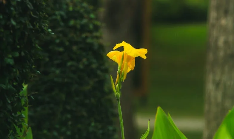 Escolher-te-ei para Sempre – Uma História de Amor, Traição e Perdão numa Família Portuguesa