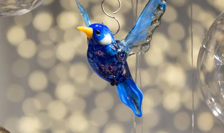 Expulsei o meu filho e a nora de casa: sou uma má mãe ou finalmente dei-lhes asas para voar?