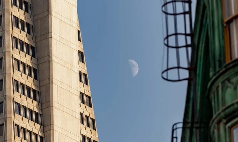 Fechei os olhos para a traição dele – até cair na rua e descobrir quem realmente estava ao meu lado