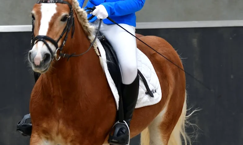 Mãe, era melhor não vires ao meu casamento – O dia em que perdi o meu filho