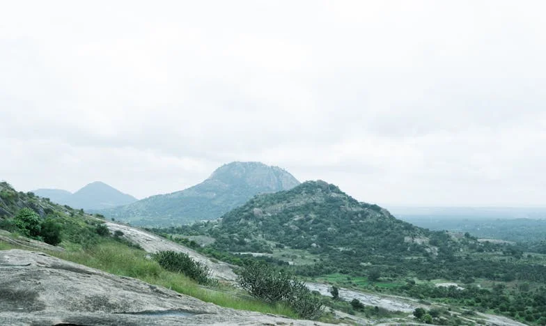 “Mãe, tu destruíste a nossa família!” – Como perdi o meu filho por causa de uma chávena