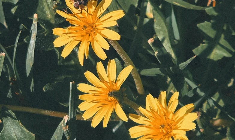 Mudámos as fechaduras para a minha sogra não entrar em nossa casa – quando os sonhos de uma pessoa destroem uma família