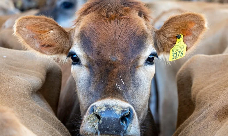 "Não Contes Connosco, Desenrasca-te!" – Quando a Minha Sogra Pediu Ajuda Depois de Nos Ter Virado as Costas