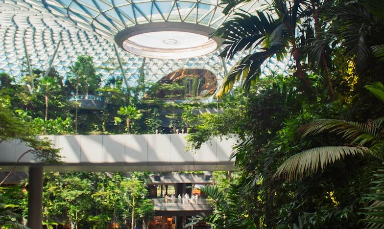 “Não tens direito a ter filhos antes de crescerem os teus sobrinhos!” – A história de uma família portuguesa dilacerada pelo controlo paterno