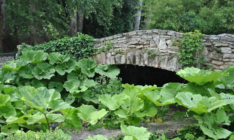 O Casamento do Meu Irmão, o Meu Pior Pesadelo: Quando a Família se Torna um Campo de Batalha por Dinheiro