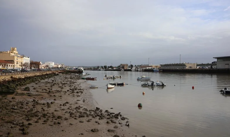 O Fim de Semana Que Nunca Foi Meu – Quando a Minha Sogra Tomou Conta da Minha Casa