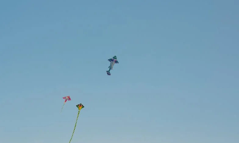 O Grito Que Mudou Tudo: A Minha Luta Pelo Meu Filho e Pelo Meu Nome