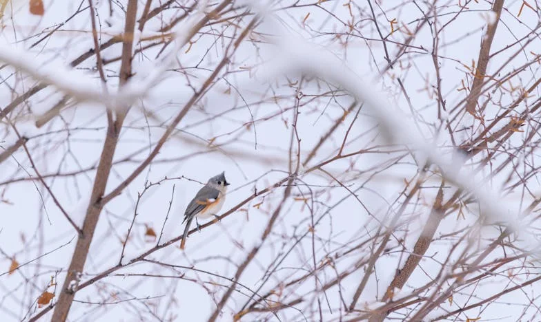 O Natal Que Rasgou a Minha Família: Entre Presentes e Feridas Antigas
