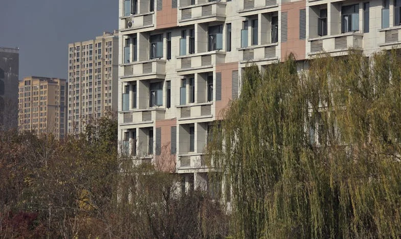 O Toque à Porta que Mudou Tudo: Minha Sogra, a Traição e o Luto que Não Soube Perdoar