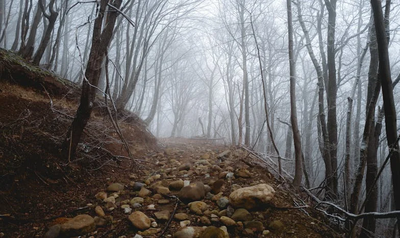 Olhos de Irmã Perdida: Entre a Violência e a Esperança nas Ruas de Lisboa