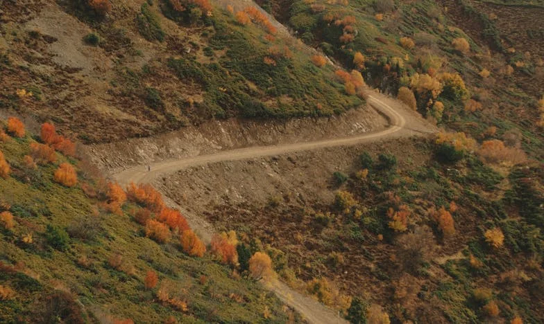 Pequenos-almoços com a minha sogra: Como encontrei a felicidade na minha própria liberdade