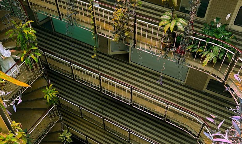 Por que tive de cortar relações com a minha mãe: Uma história de traição, perdão e busca pelo meu próprio valor