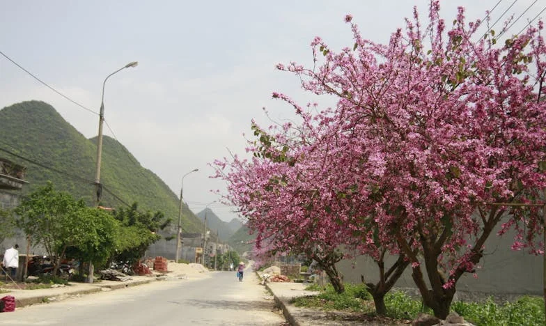 Porque Não Dou Uma Chave à Minha Mãe? – Um Drama Familiar Português
