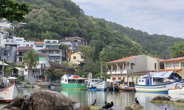 Quando a Minha Casa Deixou de Ser Minha: O Desabafo de Linda