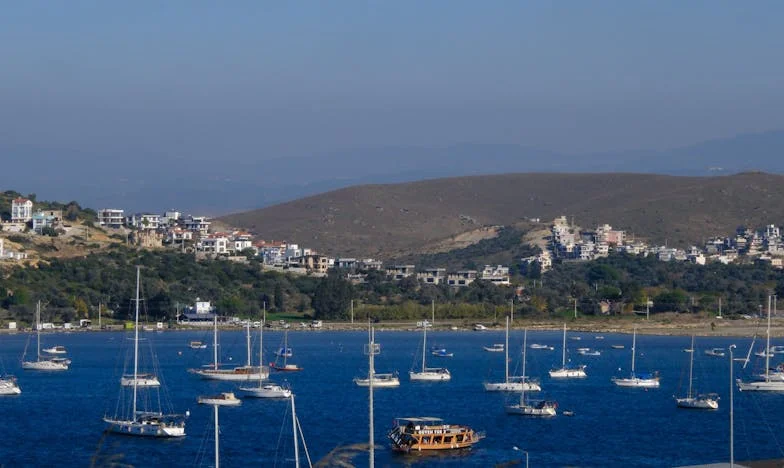 Quando a Minha Filha Me Pediu Para Me Mudar: A Verdade Que Veio à Superfície Entre as Paredes do Apartamento Dela