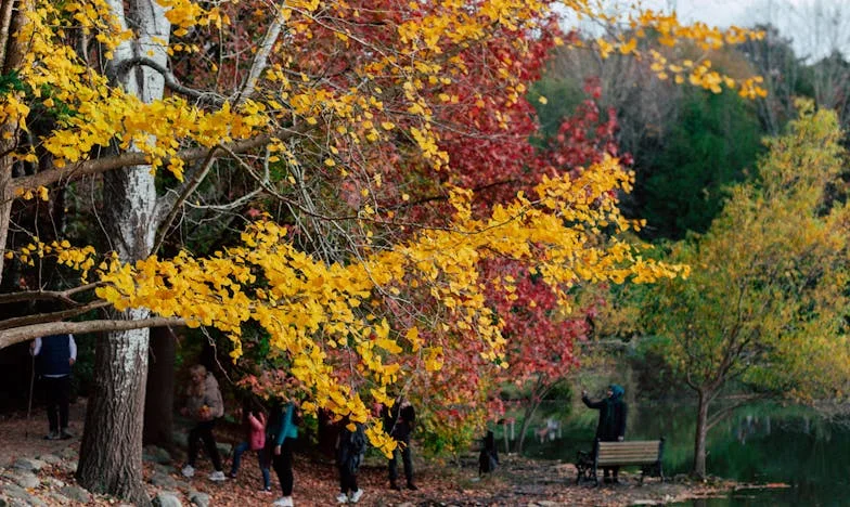 Quando o Amor se Torna Dívida: Uma História de Família, Dinheiro e Limites