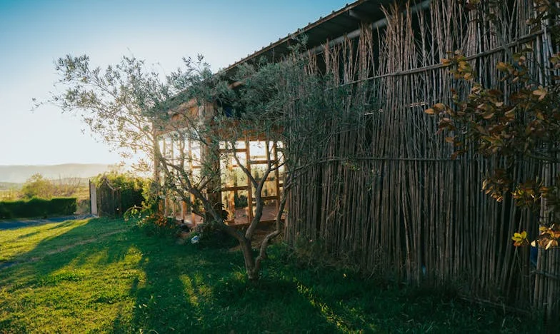 Quando o Lar Deixa de Ser Lar: Confissões de uma Mãe Portuguesa Que Perdeu Tudo Pela Família