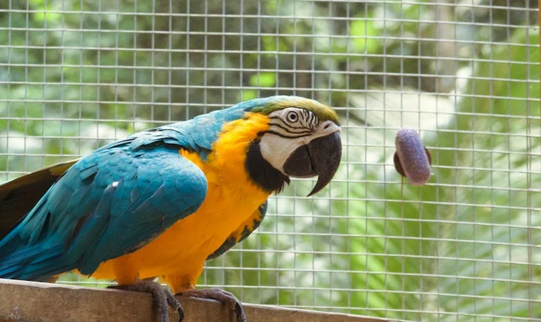 Quando o Silêncio Grita – Confissões de uma Avó Portuguesa