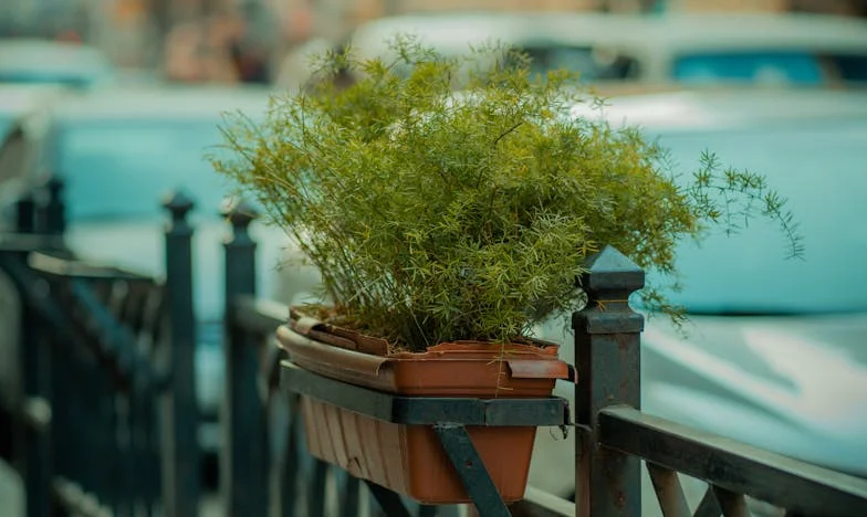 Quando Saí de Casa, Ela Já Morava Lá: O Que Ficou Por Dizer